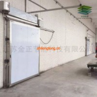 定制電動(dòng)平移門