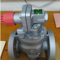 RP-6日本閥天減壓閥 進(jìn)口VENN減壓閥