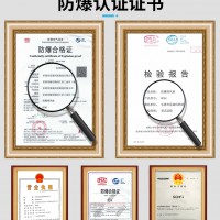 思誠 防爆排風(fēng)扇BFAG-600防爆風(fēng)機220V/380V