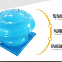 屋頂風(fēng)機WT35-11 玻璃鋼防腐屋頂通風(fēng)機 廠房通風(fēng)散熱