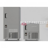 供應(yīng)意大利TECNOINOX速凍柜、海鮮低溫冷凍柜速凍機(jī)